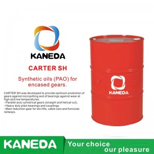 KANEDA CARTER SH Uleiuri sintetice (PAO) pentru angrenaje încorporate.